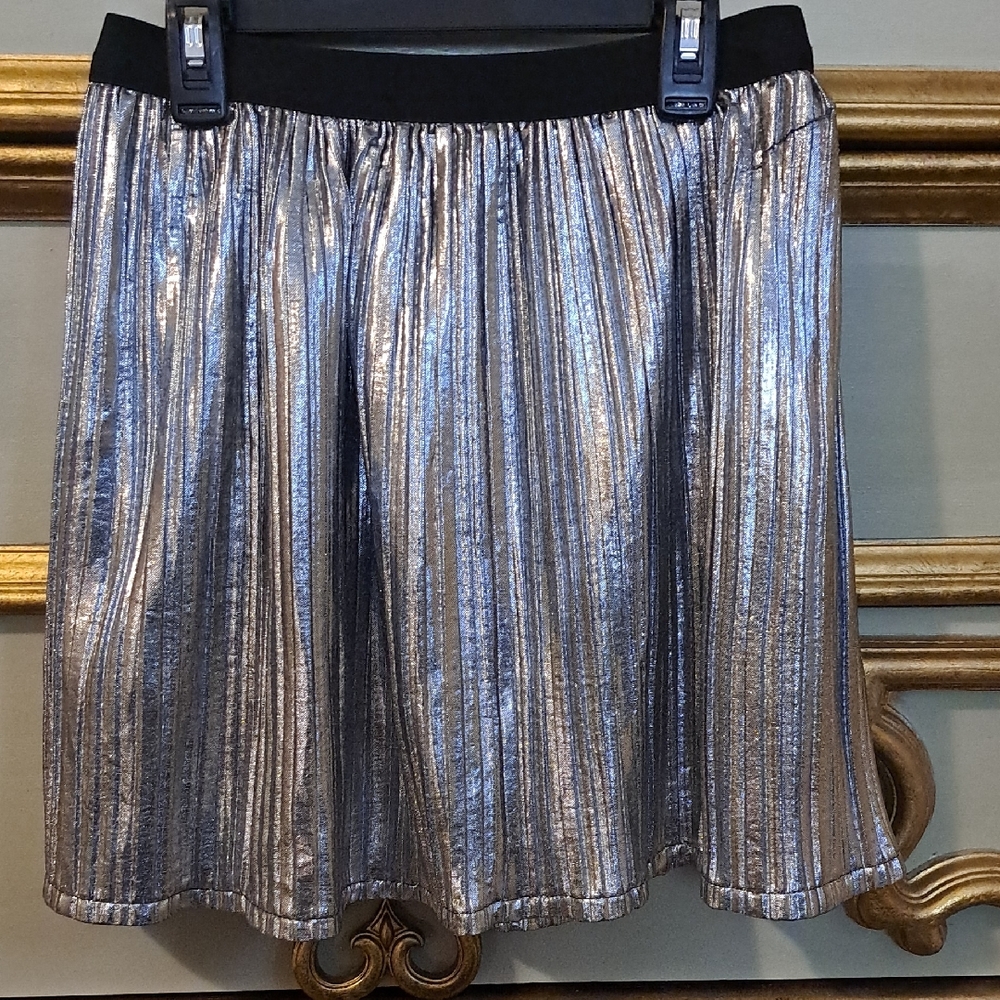 Metallic Shimmery Silver Skirt